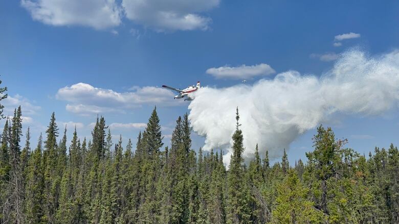 an air tanker dropping water