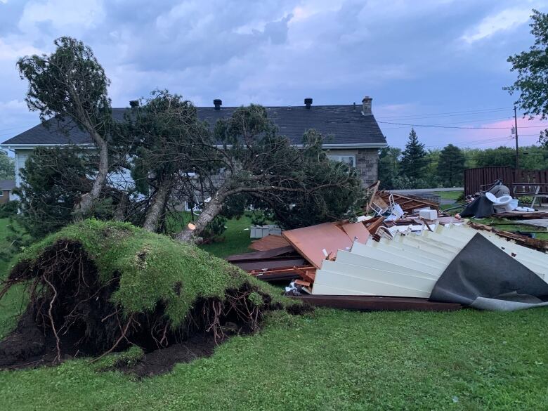 Trees uprooted and construction material blown over.