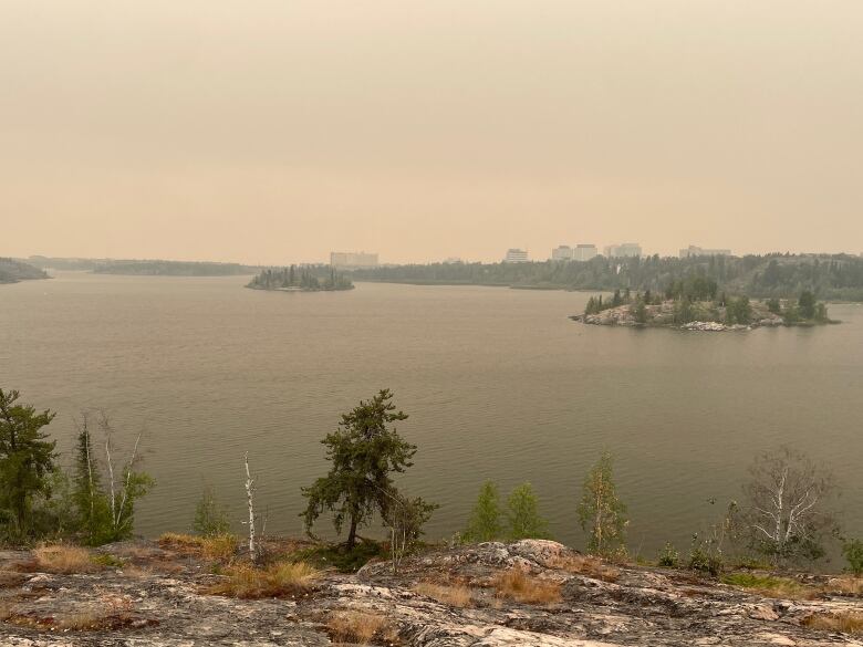 Water, trees, skyline in sepia.