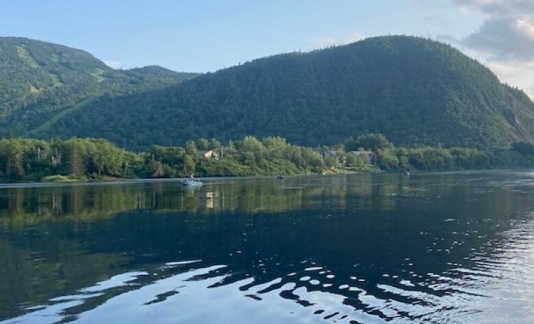 A flat calm river with a green, forested mountain in the background.