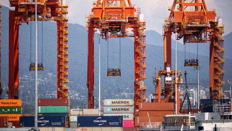 Large loading cranes with shipping containers are pictured at a port.