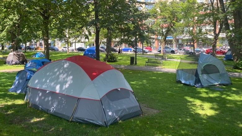 Tents are seen set up inside a municipal park.