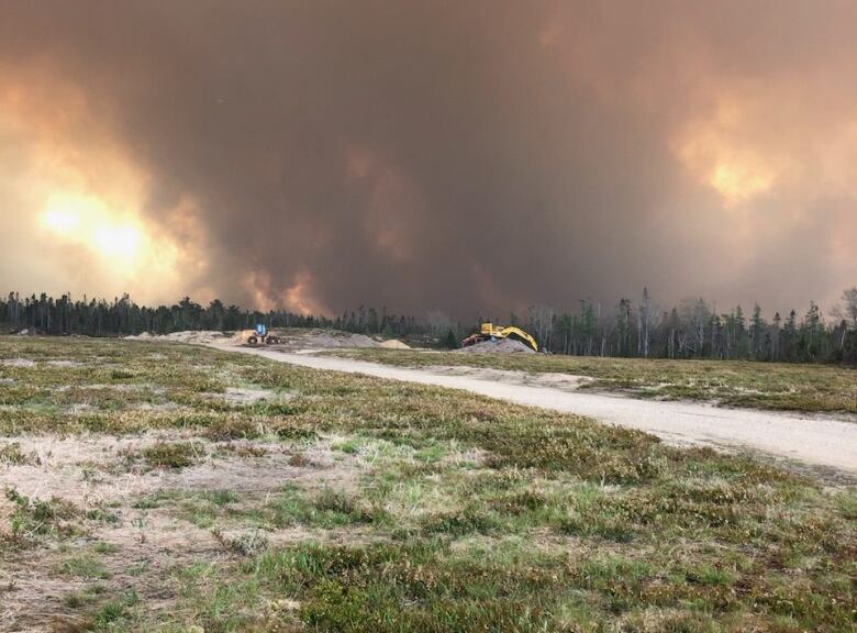 Orange flame in the distance across a blueberry field.