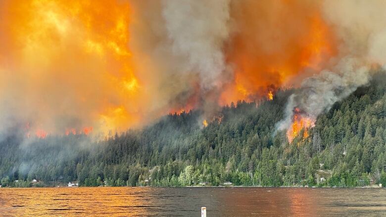 The Downtown Lake wildfire is pictured.