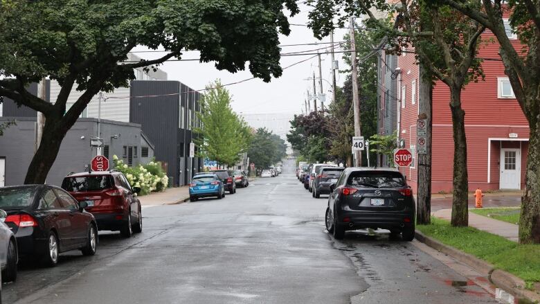 Parked cars are shown on a quiet, residential street in Halifax's north end.