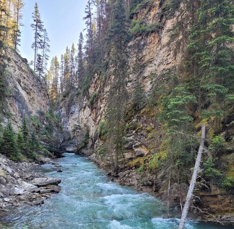 A blue river rushes through rocky canyon walls. 