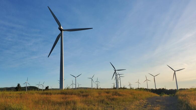 Multiple wind turbines in a field. 