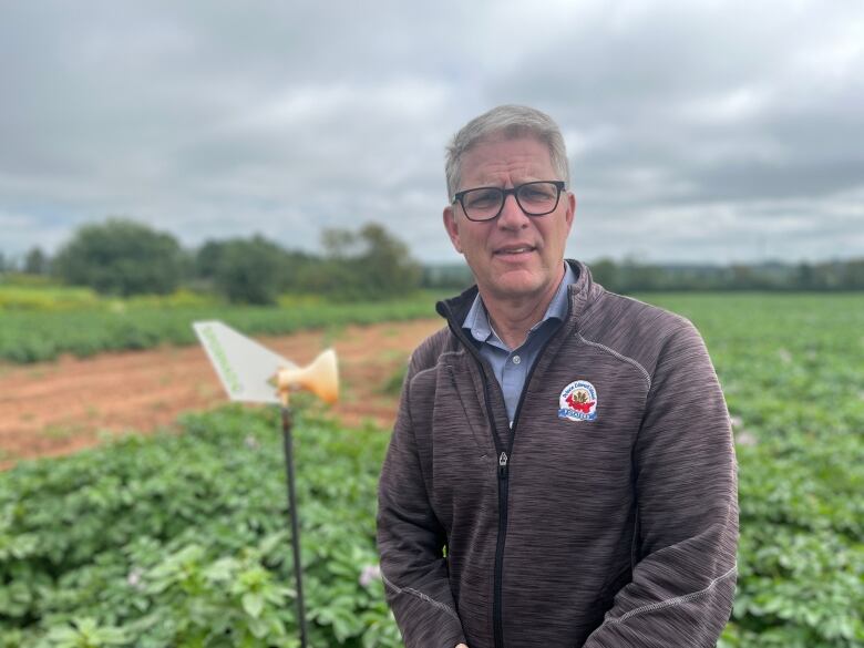 A man with glasses in a grey zip-up sweater stands in a potato field.