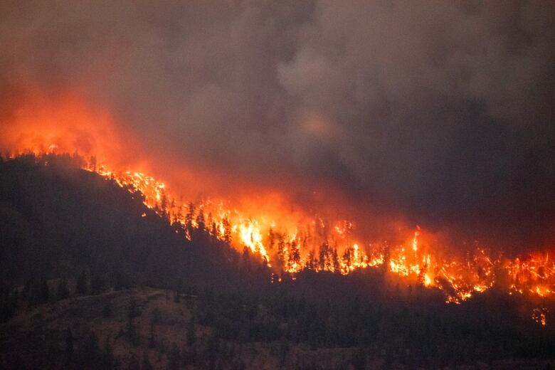 Orange and yellow flames are seen burning across a mountain. 