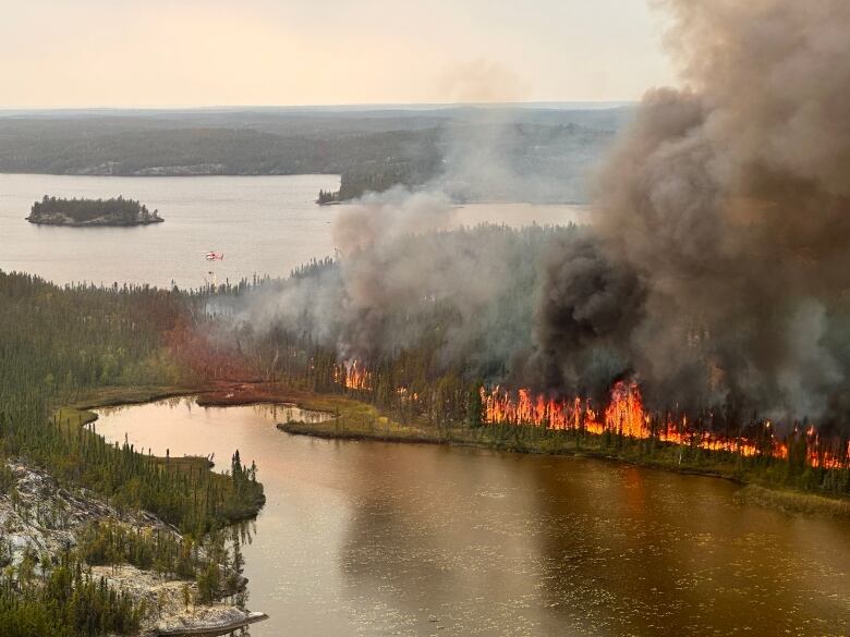 Water, trees, flame.