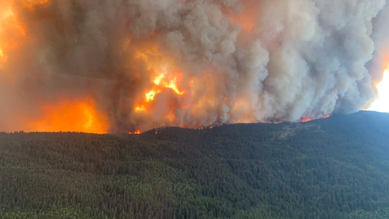 Glowing orange flames and billowing smoke appear in and above a hillside dense with trees.