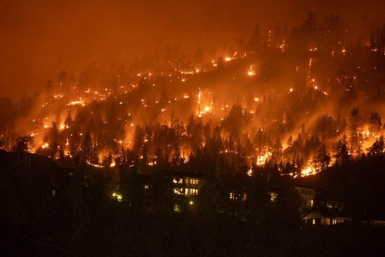 Homes near a wildfire as it burns in West Kelowna, B.C., early in the morning