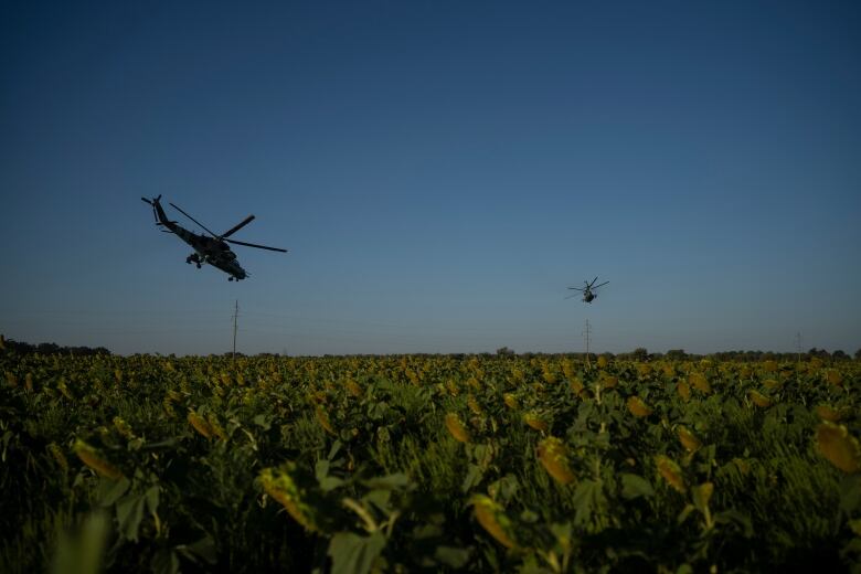 Ukrainian attack helicopters flying above a sunflower field in eastern Ukraine.