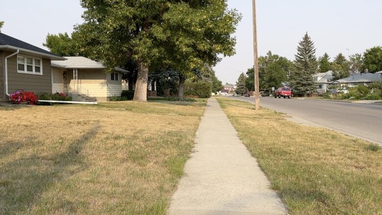 Brown grass is pictured along a residential street in Claresholm, Alta. 