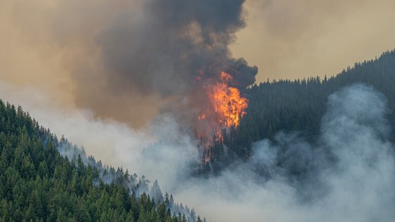 Pictured is the Horsethief Creek Fire, located approximately 7 kilometres north of Panorama Mountain Resort and 10 kilometres west of Invermere. 