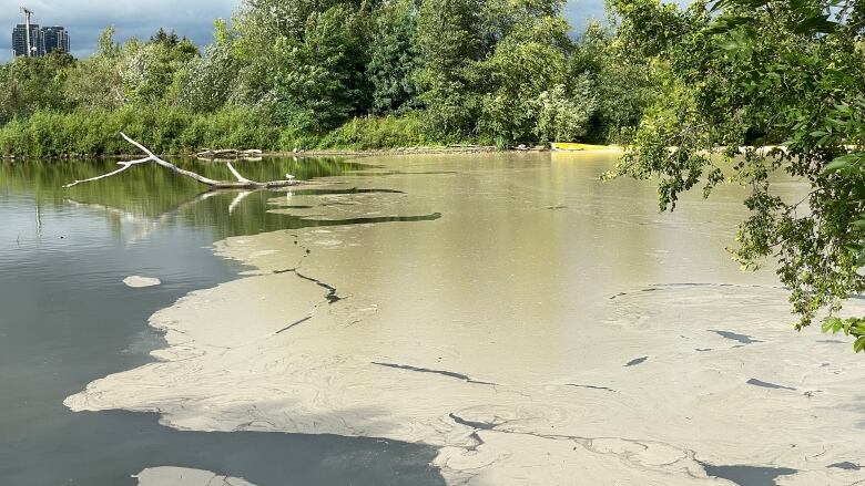 A view of Mimico Creek at Humber Bay Park. The Ontario environment ministry says crews from a cleanup contractor, GFL Environment Inc., are out in four boats to clean up runoff from an industrial fire in Etobicoke a week ago.