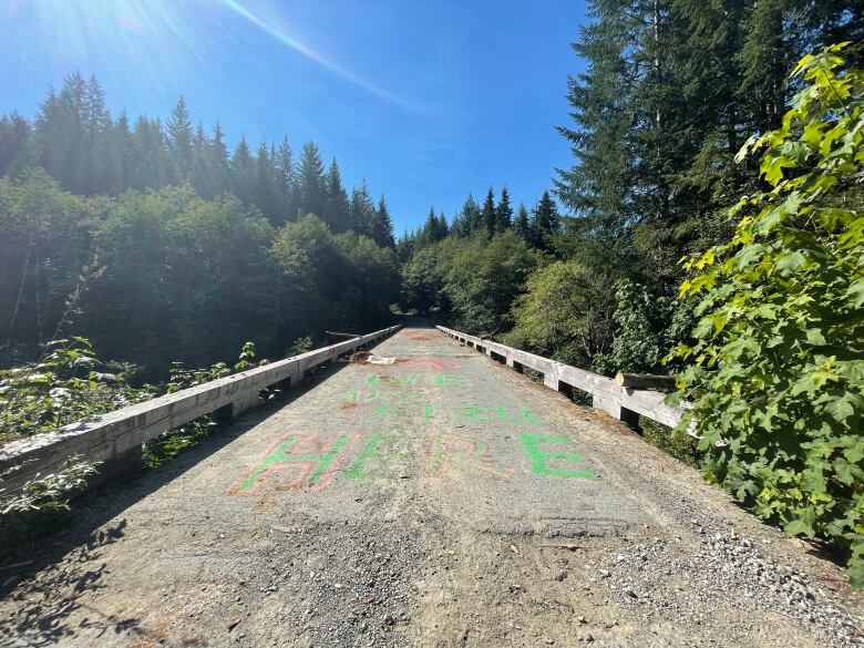 a bridge in a forest. Spray paint reads 