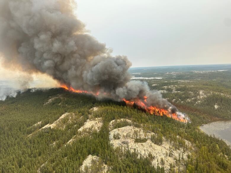 Flames and smoke rise up from a forest.