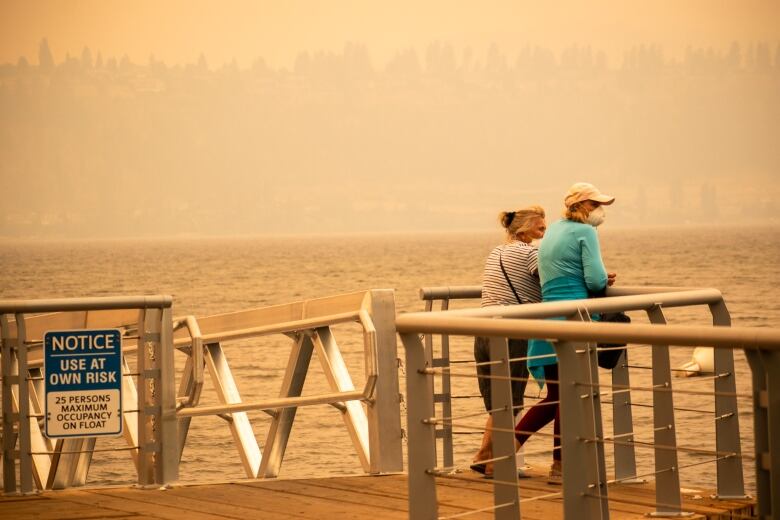 Two people with masks stand on a dock under hazy skies.