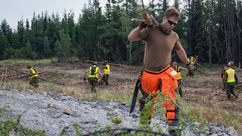 People work in a cleared area near forest.