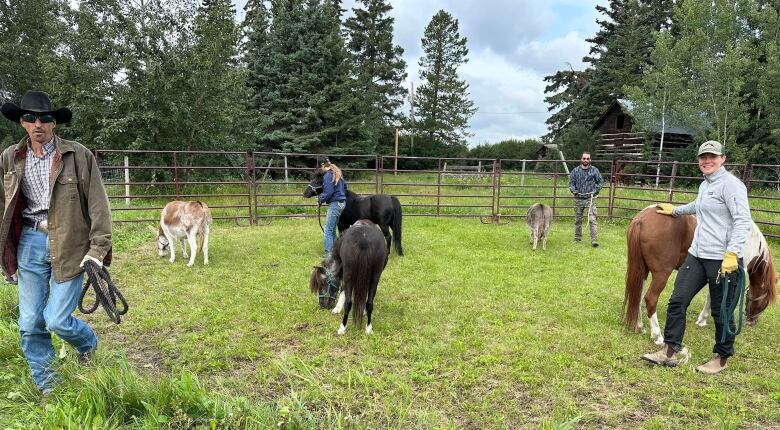 People stand in a penned yard with some ponies and donkeys.