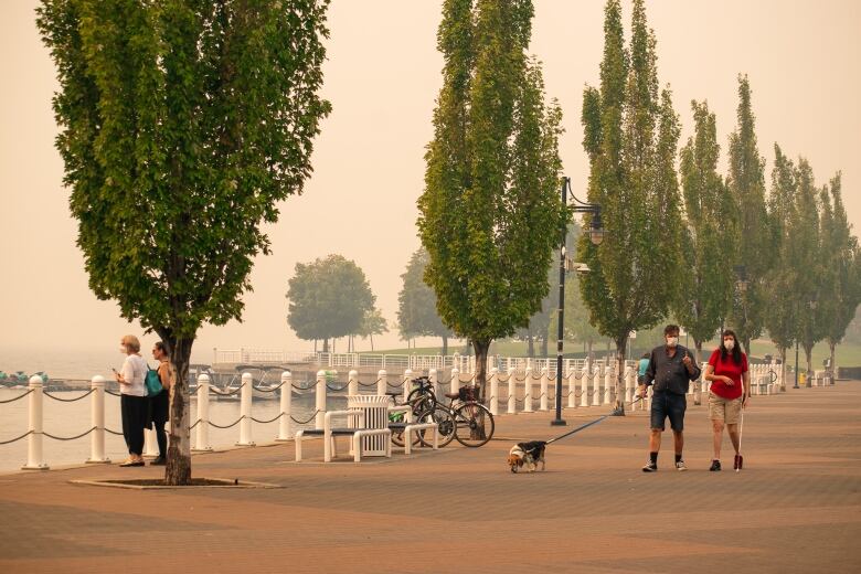 People wearing facemasks walk along a lake, with an orange hue and smoke in the air.