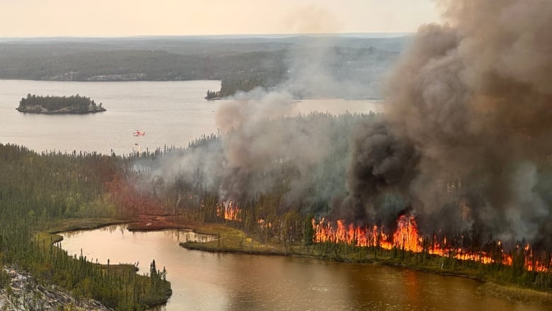 a forest fire seen from above