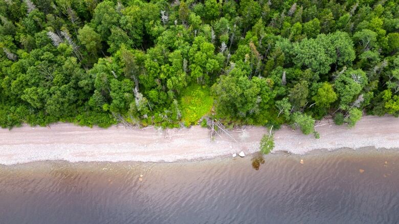 An overhead view of the treeline along a lake. There's a green circular clearing in the middle. 