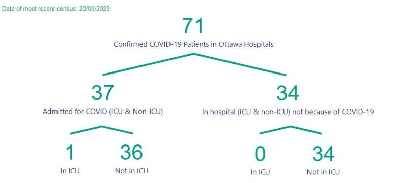 A chart showing the number of people in Ottawa hospitals with COVID.