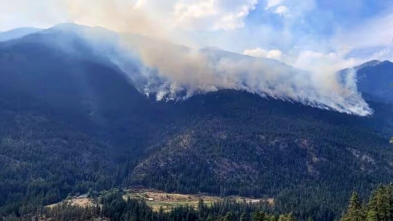 Smoke rises from a forested mountainside.