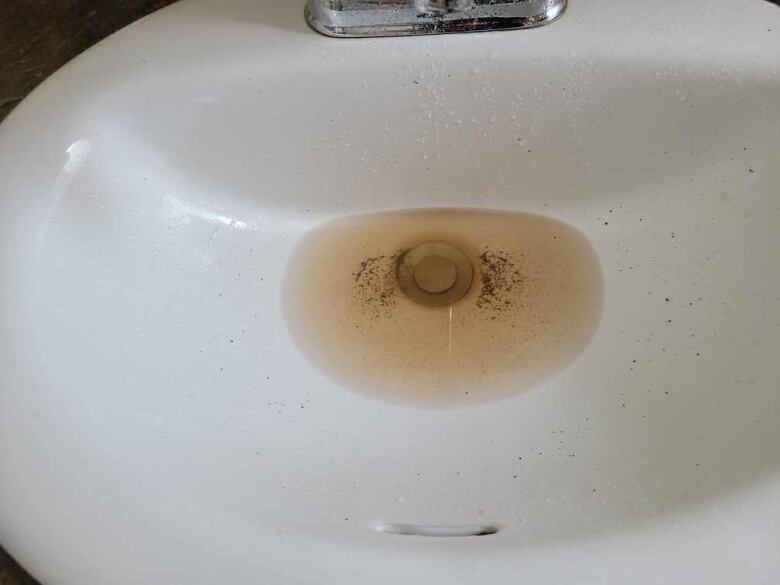 Brown water with sediment pooled in the bottom of a sink.