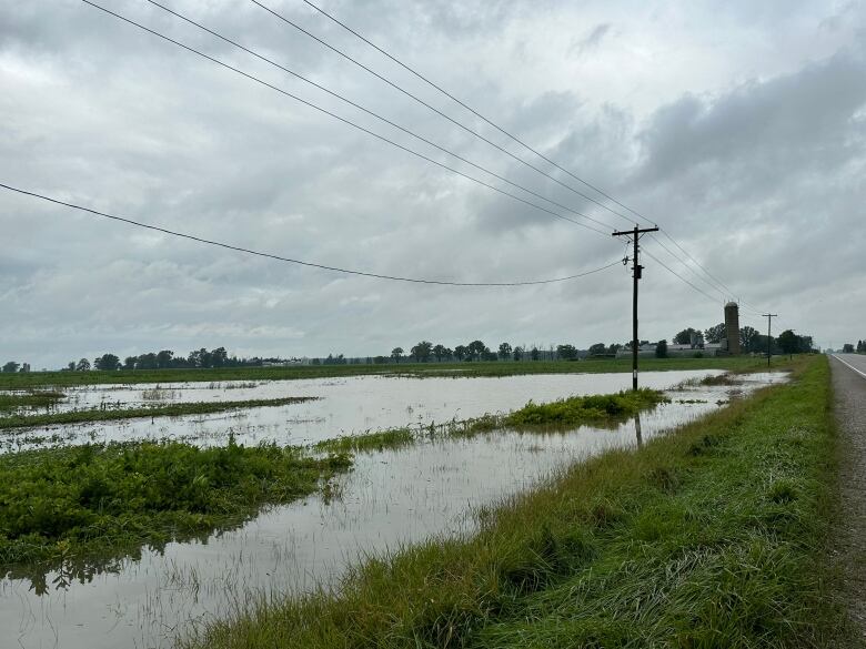 A drenched field on Kerwood Road in Middlesex County. 