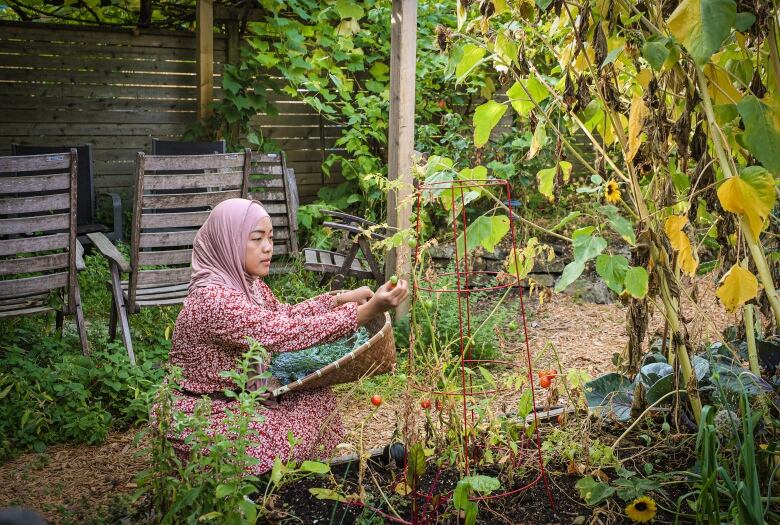 Tammara Soma is sitting in a garden in a purple outfit, picking what looks like a green berry. She has a woven basket in her lap. 