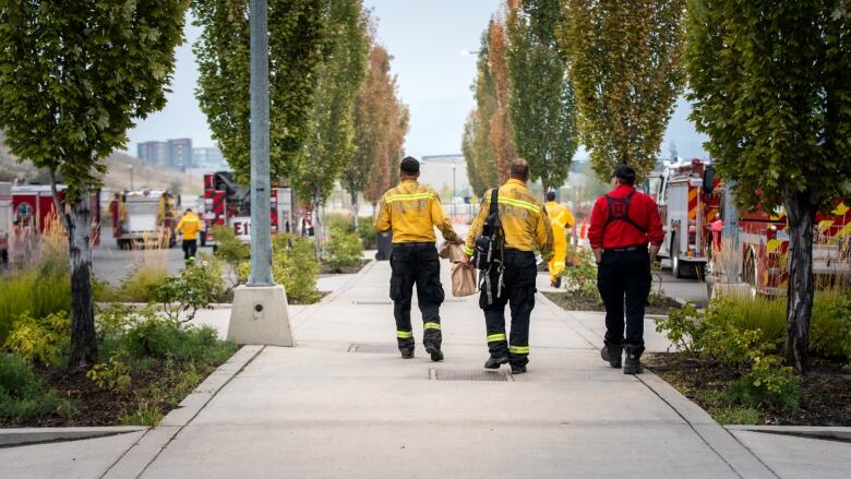 Three firefighters (two in yellow jackets, one in red) stand facing away from the camera on a walkway surrounded by trees on either side. Beyond the trees, ambulances. 