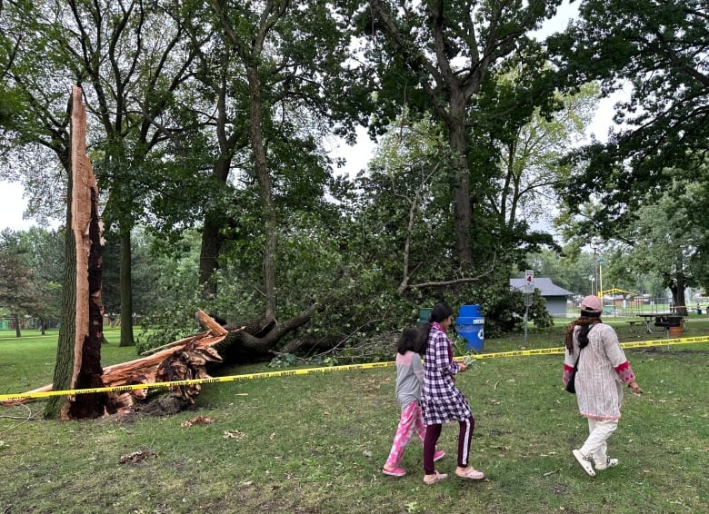 Park-goers walk by caution tape and a large fallen tree at Windsors Mic Mac Park on Aug. 25, 2023.