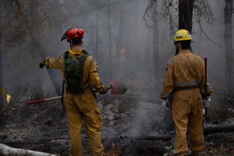 Two people in firefighting uniforms watch flames flicker in nearby trees.