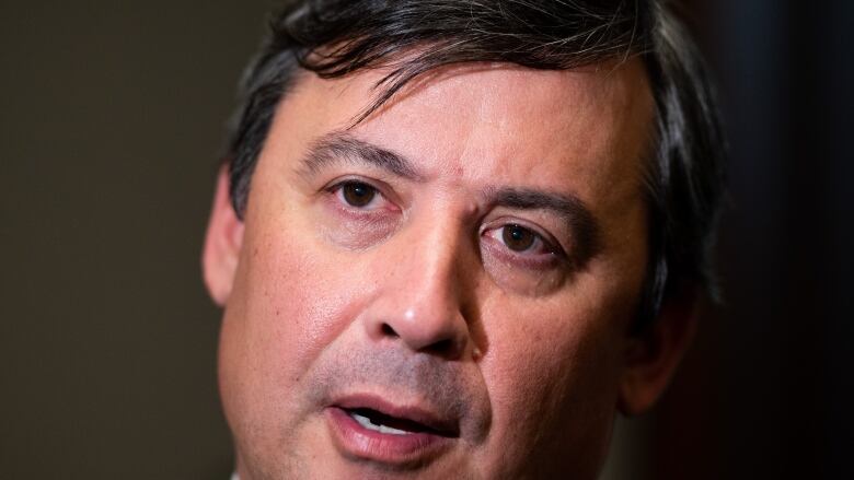 Conservative MP for Wellington-Halton Hills Michael Chong speaks to reporters after appearing as a witness at the standing committee on procedure and House affairs (PROC) regarding foreign election interference on Parliament Hill in Ottawa.