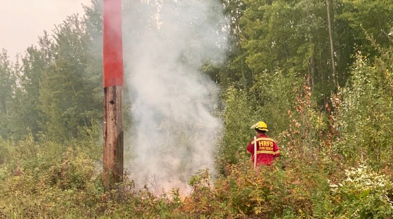 power pole and person dressed as a firefighter