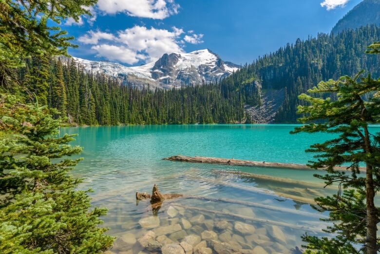 A shimmering blue lake encircled by mountains and trees.