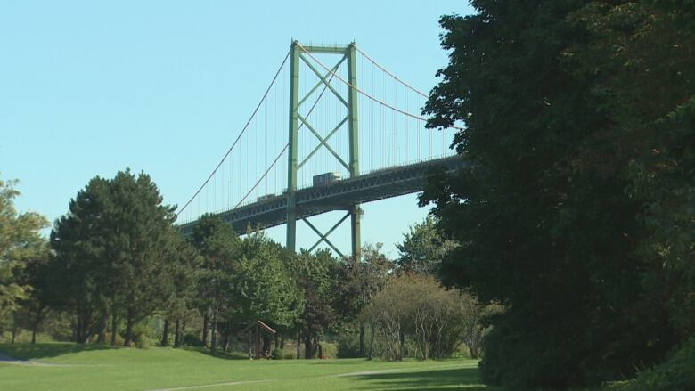 trees with a bridge behind them