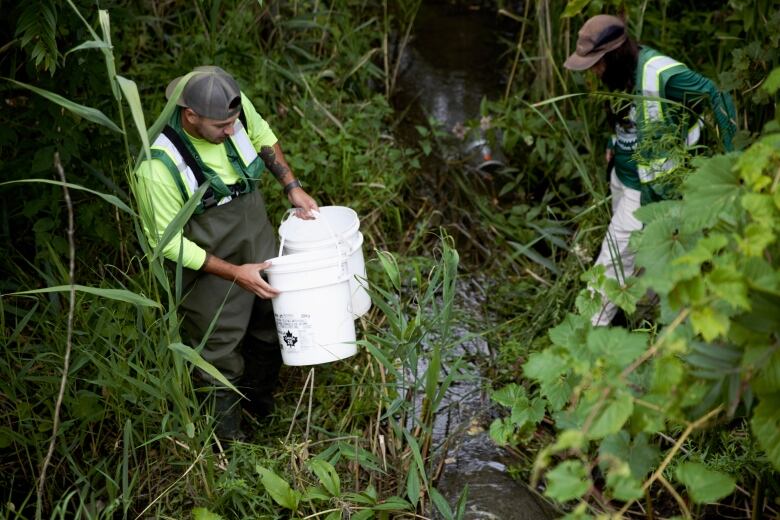 Brandon Rice and Carlee Loft in the North Creek to conduct fish sampling. 