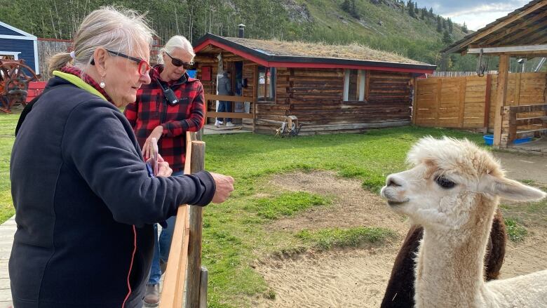 Two women stand on the other side of a fence. Inside the pen is a llama.