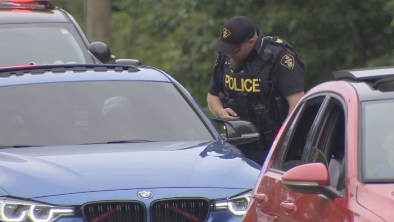 OPP officer leans into window of blue BMW.