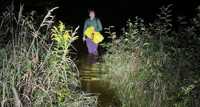 A dark photo taken outside at night of a person standing in the distance in almost knee-high water in a flooded field, carrying camping gear.