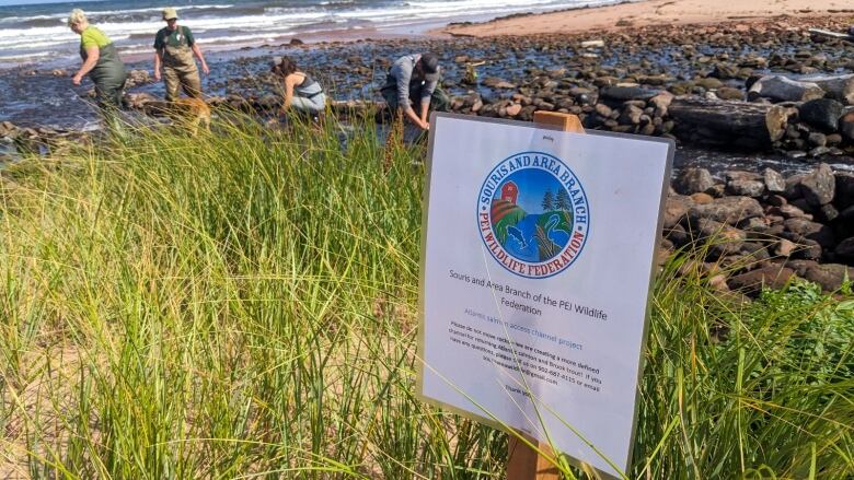 A sign explains the work on the beach 