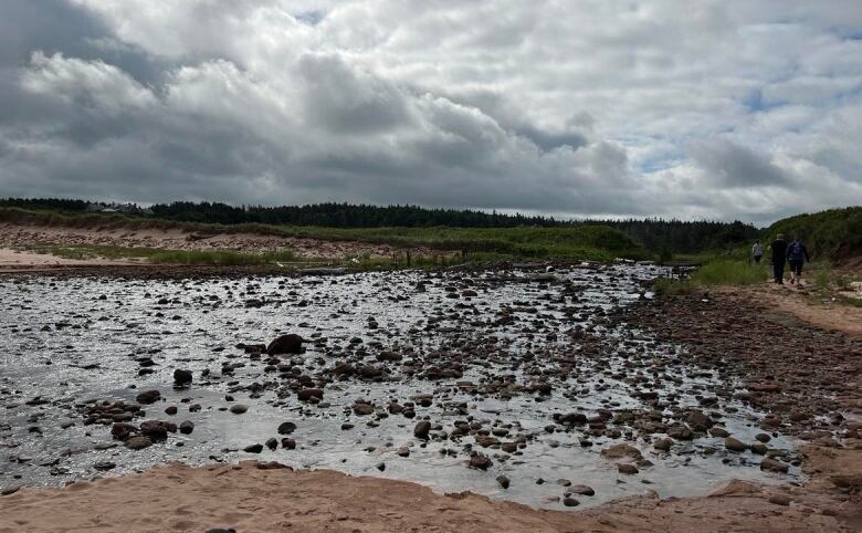 The beach site before the river meander was built to make the water deeper 