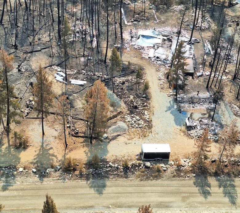 A dirt road with burnt trees and what appears to be a burned-down home. 