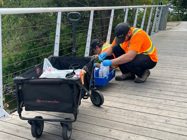 Workers from SLR Consulting, a private environmental sustainability consultancy, told CBC News they were taking test samples of the water at the foot of Mimico Creek, but would not confirm whether they were part of the ministry-led clean up.