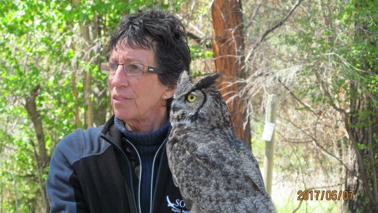 A woman is pictured in a forest holding a fluffy grey owl. 