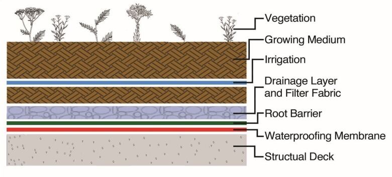 A schematic showing the layers of a green roof. From top to bottom: vegetation; growing medium; irrigation; drainage layer and filter fabric; root barrier; waterproofing membrane; structural deck.